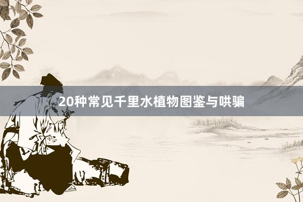 20种常见千里水植物图鉴与哄骗