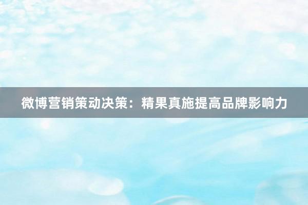 微博营销策动决策：精果真施提高品牌影响力